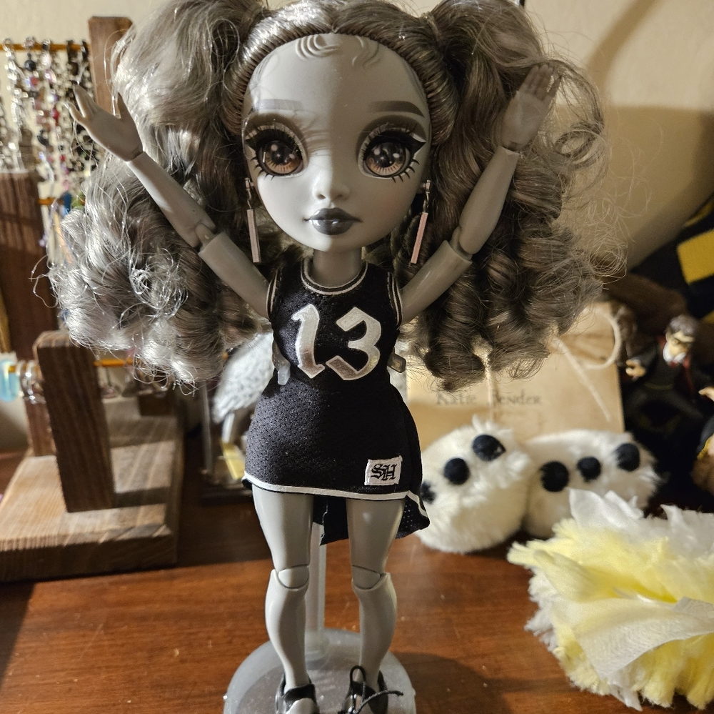 Rainbow/Shadow High Dolls